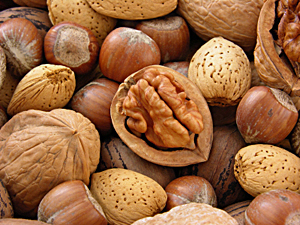 TreeNuts2